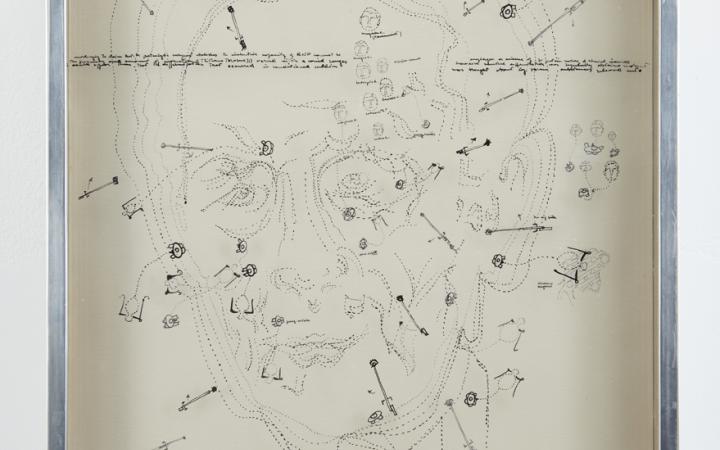 Gianfranco Baruchello, Chemical inducers in Marcel Duchamp’s brain, 1965
