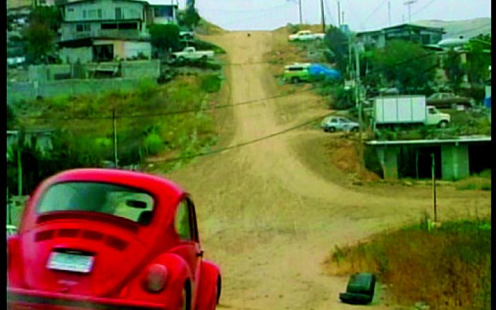 Red Beetle on unpaved road