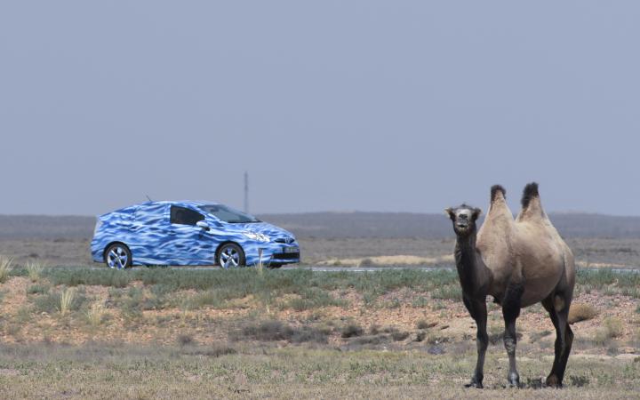 Ein blaues Auto und ein Kamel