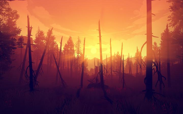 Screenshot: tote Bäume und warme Strahlen des Sonnenuntergangs.