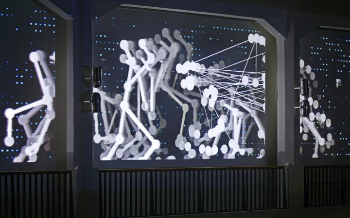 Bones projected on a canvas