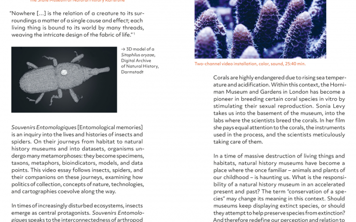 Page view of the Critical Zones exhibition brochure