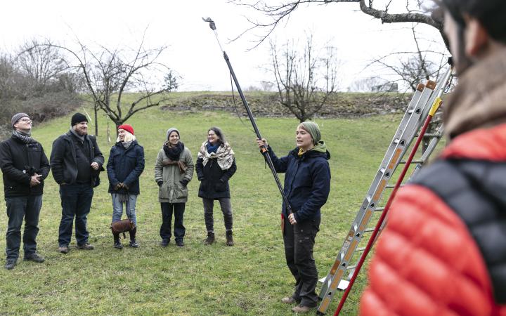 A group of people stand in a meadow and in the middle a woman holds a tree saw.