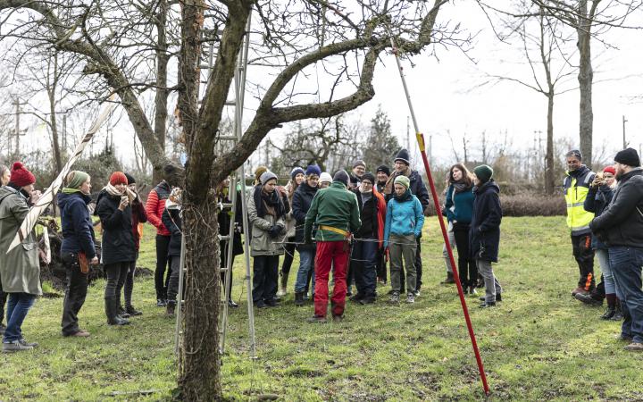 A group of people stand in an orchard next to a tree.