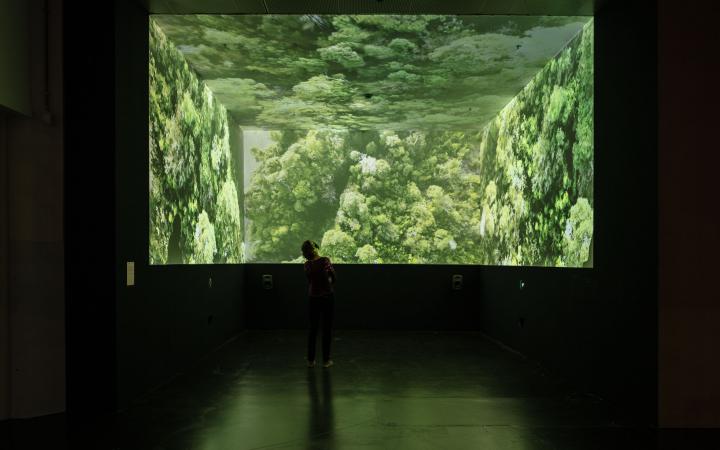 Im Ausstellungsraum. Eine Frau steht in einem quadratischen Raum, an dessen Decke und obere Wände ein Wald projiziert ist.