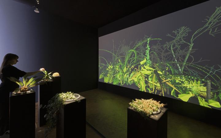 View into the exhibition on the installation »Interactive Plant Growing«