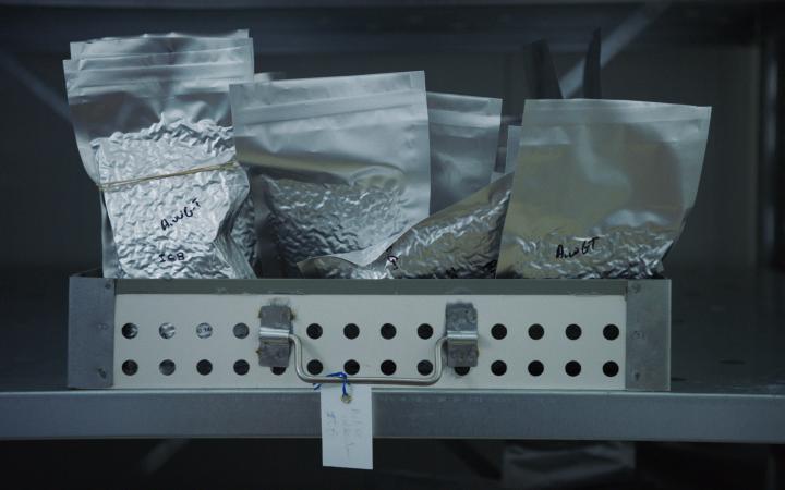 Photo of a metal shelf with a drawer. The drawer is full of silver bags filled with genetic material.