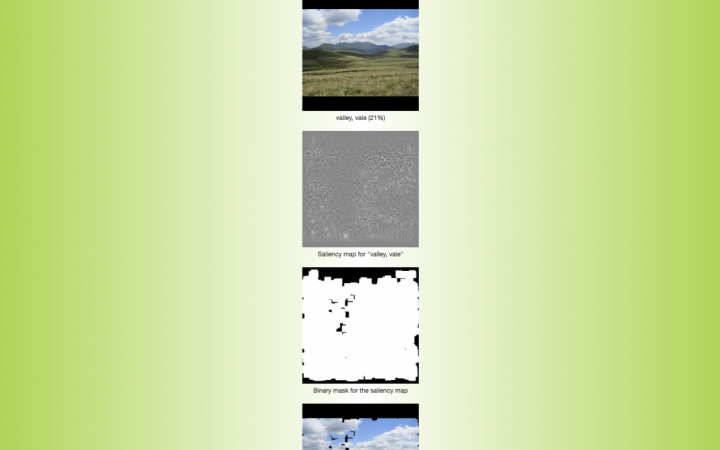 Grünlicher Hintergrund mit mehreren untereinanderstehenden Fotografien und Abbildungen mit Untertiteln