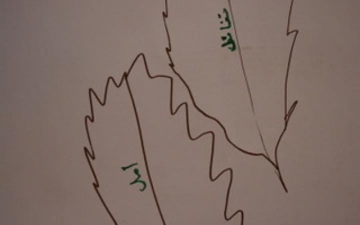 Zeichnung von zwei Blättern, die im Rahmen eines Workshops entstanden sind