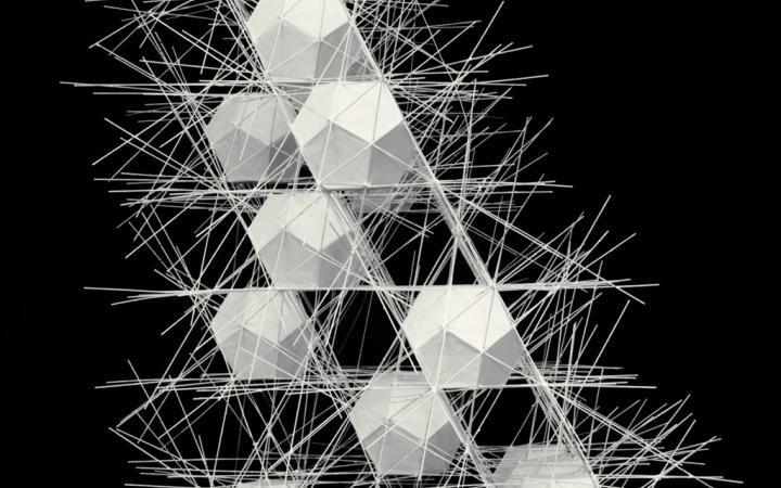Werk - Polyhedral Net Structure #2