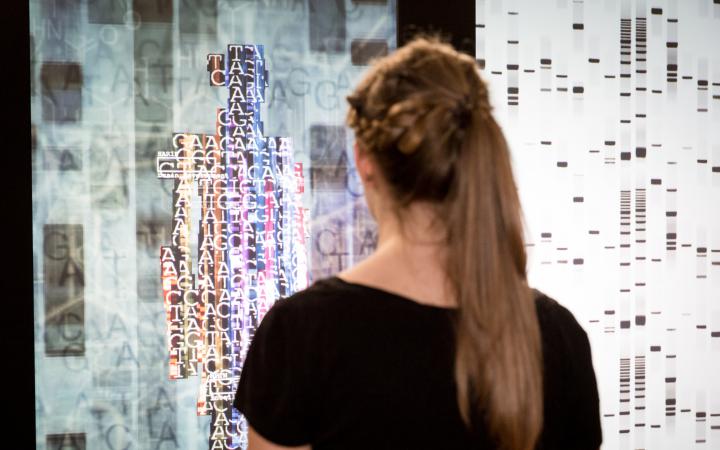 Blick in die Ausstellung »Open Codes. Leben in digitalen Welten« 