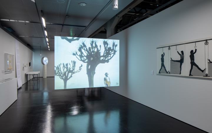 In an exhibition room, a screen can be seen. A tree under which a man is standing is projected onto it.