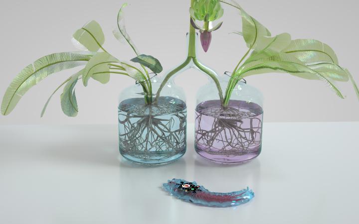 The film still shows two vases with blue and purple liquid from which plants are peeping out. In front of the vases is a bluish, deformed object reminiscent of a remote control. 