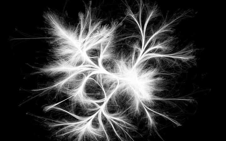Eine Visualisierung eines Netzwerks aus weißen Strängen auf schwarzem Hintergrund, die sich nach außen hin zerfransen