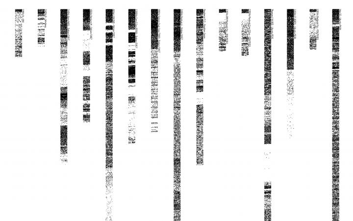 Zu sehen ist ein weißer Hintergrund mit vertikal verlaufenden, schwarzen, halbtransparenten Balken