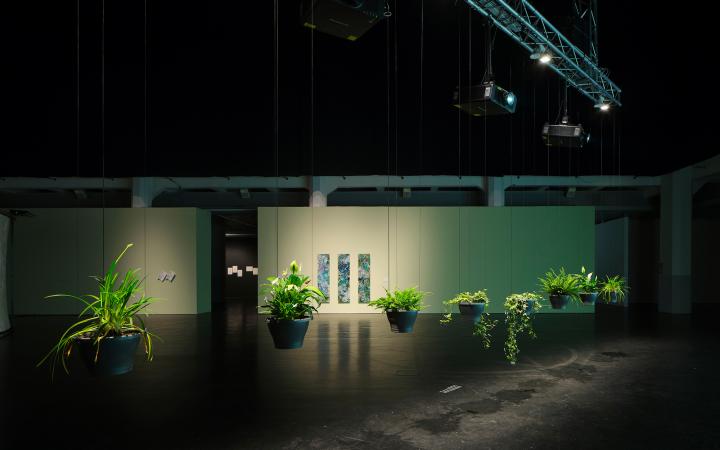Zu sehen ist das Werk »Eau de Jardin«. Das Bild zeigt eine Totalansicht des Werkes. Die Pflanzen hängen in Töpfen in einer Reihe angeordnet von der Decke und hängen vor einer großen Leinwand.