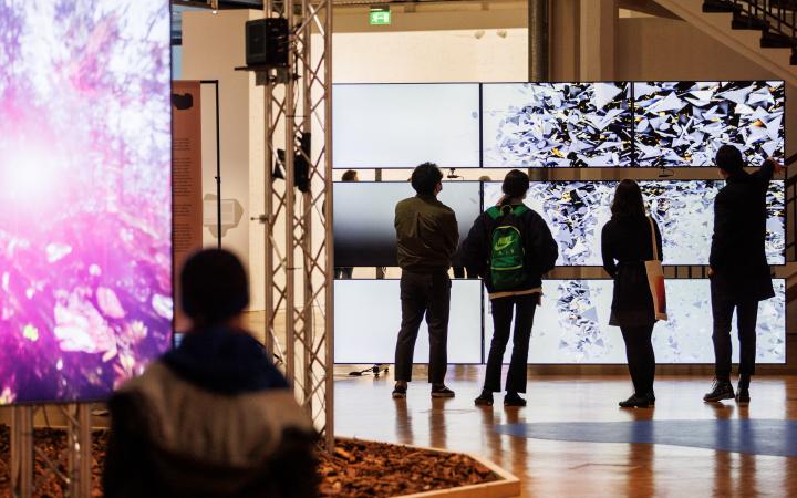 Random International, »Algorithmic Swarm Study (Triptych) / ll«, 2021. Auf dem Bild sind Personen vor einem großen Bildschirm zu sehen in der Ausstellung BioMedien.