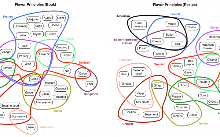 Zwei Grafiken mit dem Titel »Flavor Principles« zeigen mit bunten Kreisen die häufigsten Kombinationen verschiedener Zutaten