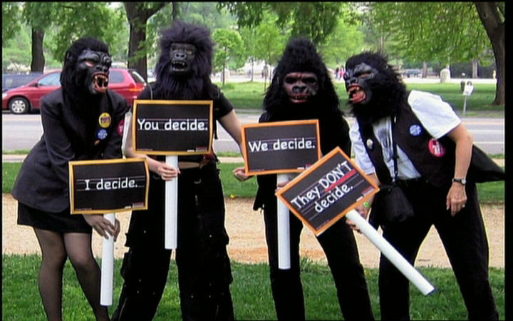 Demonstranten mit Affenkostümen