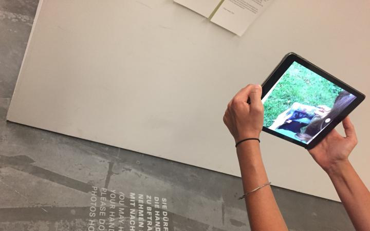 Someone is holding the camera of an iPad on a wall. On the iPad you can see a green meadow.