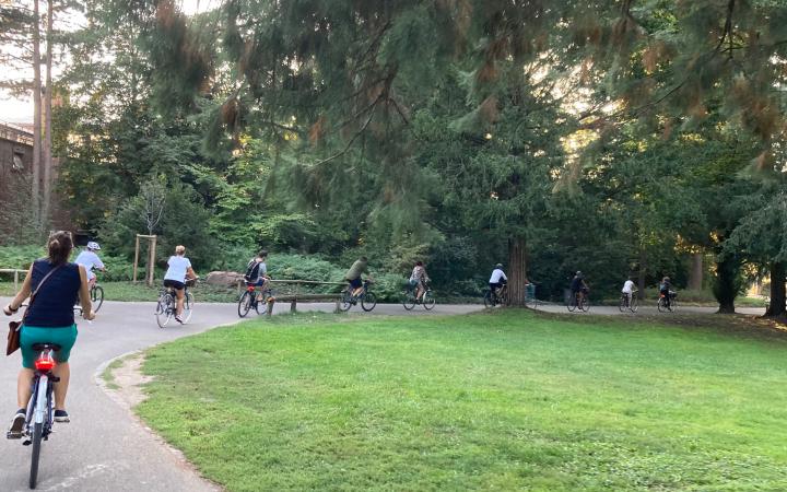 Acht Menschen fahren in einem weiten Bogen hintereinander auf ihren Fahrrädern um einen Rasen im Karlsruher Schlossgarten.