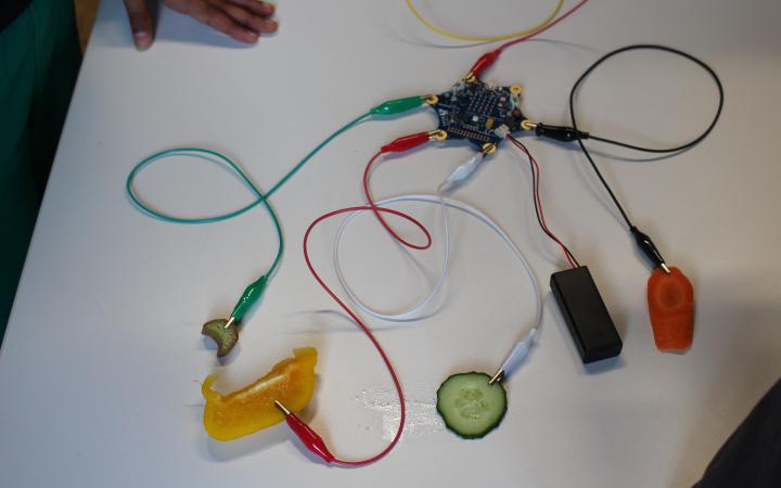 We see a Calliope mini from which several cables lead away. To the ends of the latter are various vegetables connected.  