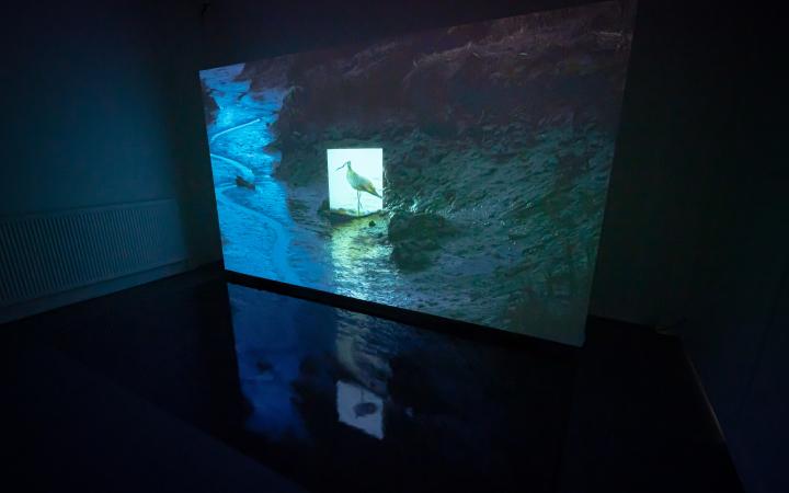 Jake Elwes, »CUSP«, 2019. In a dark room, there is a large screen showing footage of a seascape. In the middle of this footage is a seagull.
