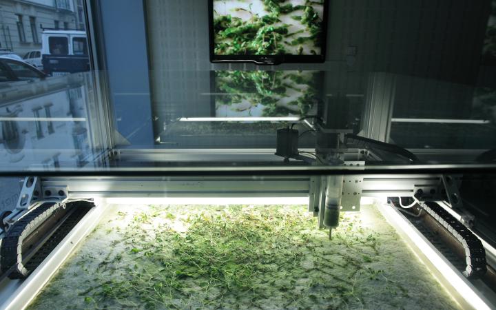 Machine produces algae