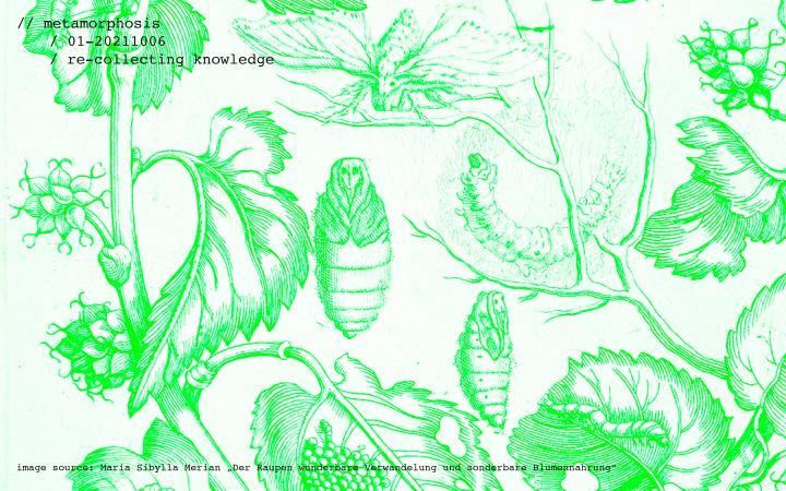 Buchdruckabbildung von Pflanzen und anthropomorphen Insekten in neon-grün