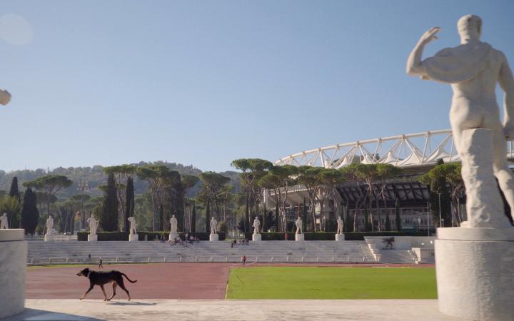 Man sieht einen Hund in dem Stadio Centrale del Tennis in Rom.