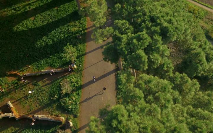 Man sieht aus der Vogelperspektive einen Waldweg. Am Rand stehen Bäume. Auf dem Weg laufen zwei Personen.