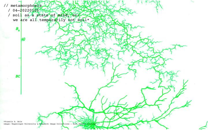 In front of a white background, a light green, almost neon green root system branches out. 