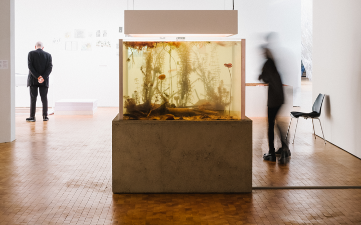 Ein Aquarium in der Ausstellung »Reset Modernity!«