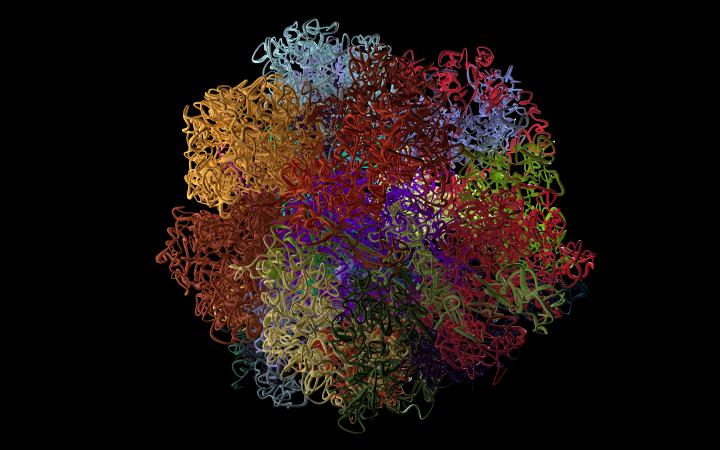 Abstrakte Darstellung des menschlichen Genoms. Es sieht aus wie ein Wollknäuel aus verworrenen Fäden in verschiedenen Farben.