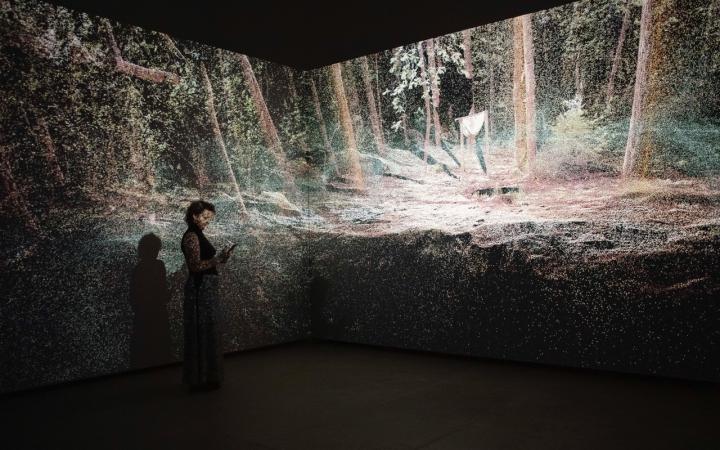 You can see a woman standing in front of two illuminated walls. Projected is a forest