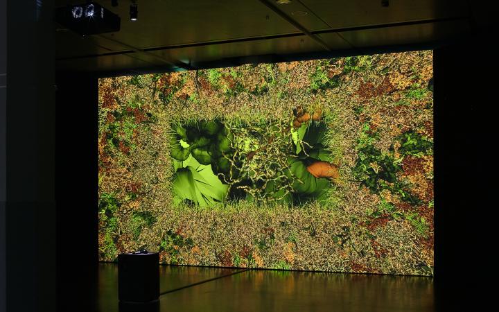 You can see the exhibition view of the work "Phototropy". A large canvas on which plants are shown in different shades of green.
