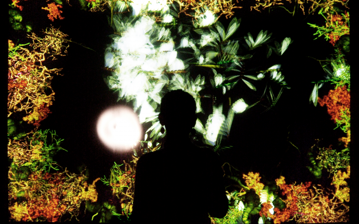The silhouette of a person in front of a screen of glowing plants