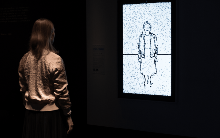 Die Umrisse einer Frau werden auf einem Bildschirm durch virtuelle Fliegen abgebildet