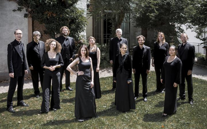 The photo shows the musicians of the KlangForum Heidelberg, all dressed in black, on a green meadow.