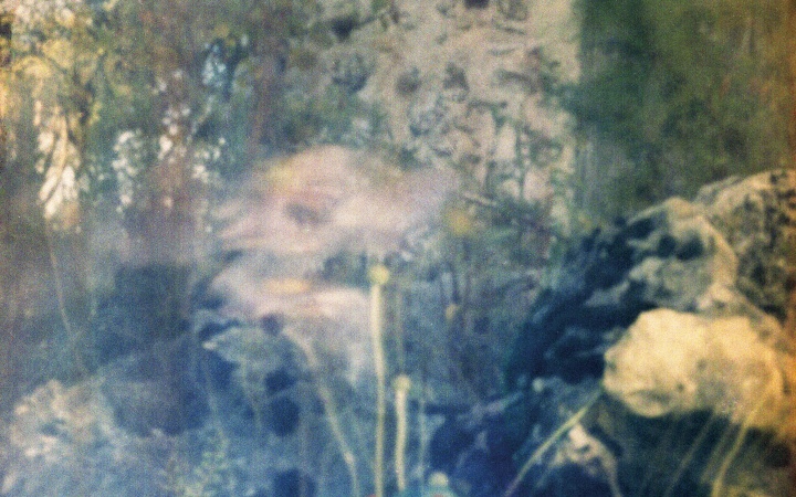 You can see a garden with flowers. The image is very blurred. 