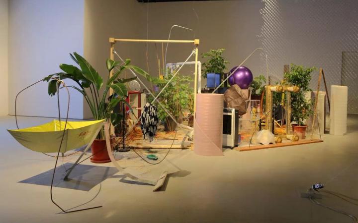Das Foto zeigt eine Installation aus Pflanzen und zusammengestellten Gegenständen. 