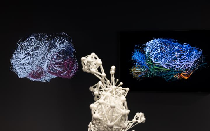In the foreground is a medium-sized sculpture showing a network with many nodes. To the left and right of the sculpture are networks in the form of a mouse brain.