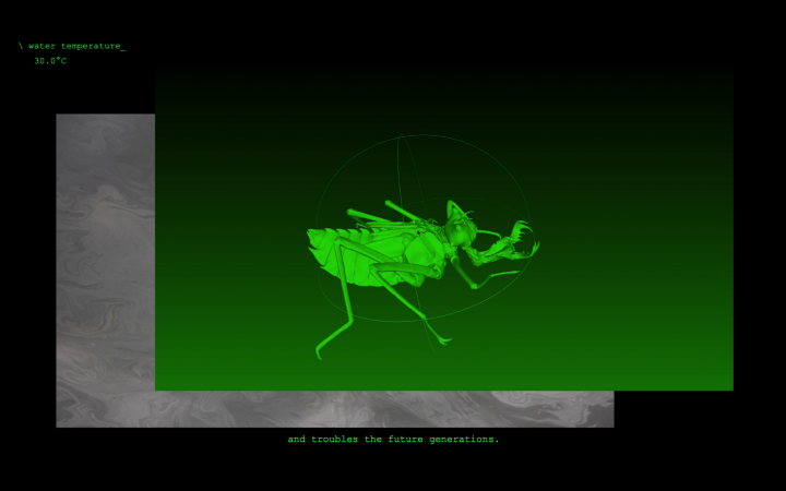 Virtual image of a beetle in green.