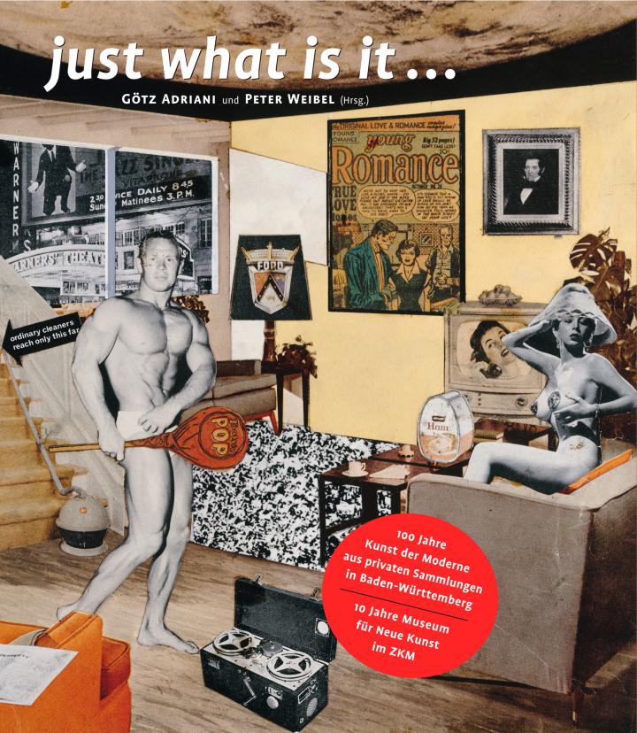 Cover of the publication »Just what is it ...«