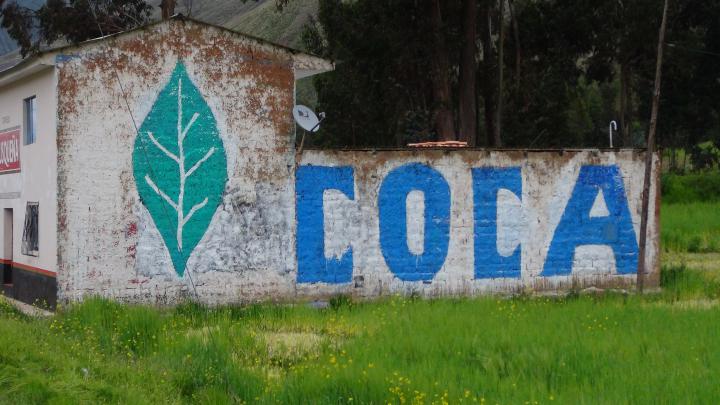 View of a house wall and a wall: On there that painting of a green leaf and the word "Coca"