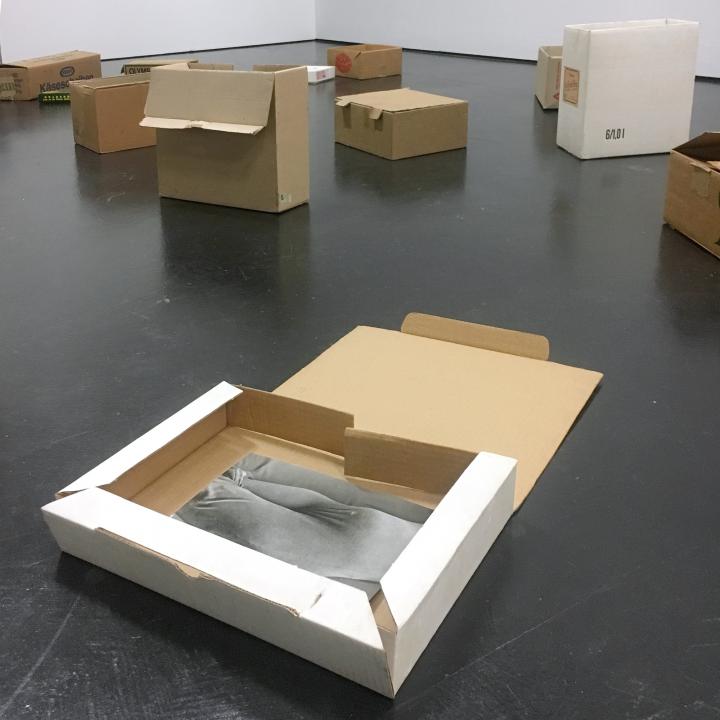 Brown cardboard boxes, distributed throughout the room