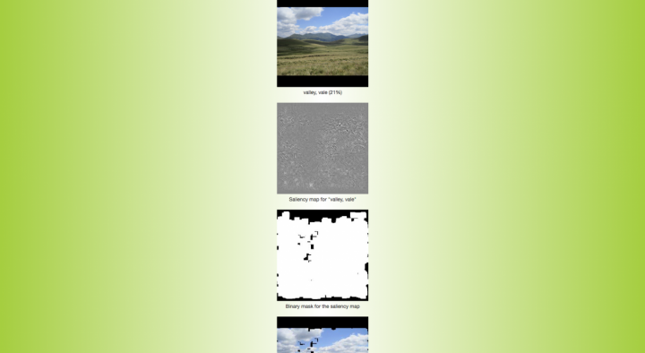 Grünlicher Hintergrund mit mehreren untereinanderstehenden Fotografien und Abbildungen mit Untertiteln