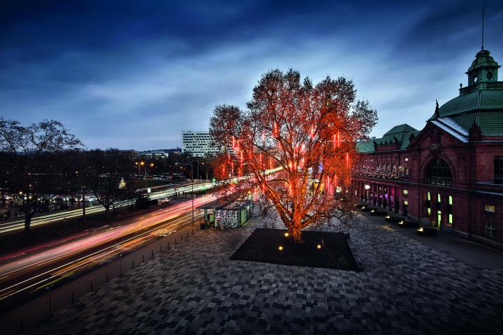 Zu sehen ist ein großer Baum an einer befahrenen Straße bei Nacht an dessen Ästen rote Leutrohre hängen