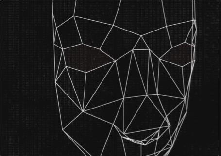Grid-like representation of a face with white lines on a black background