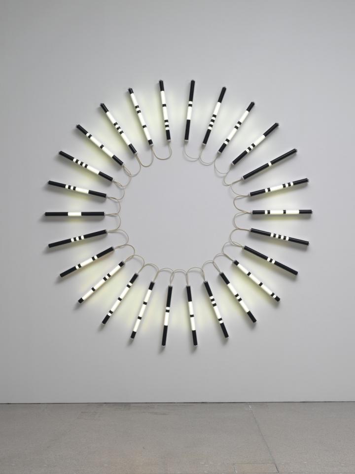 The picture shows fluorescent lamps arranged in a circle, which are coated with different types of varnish